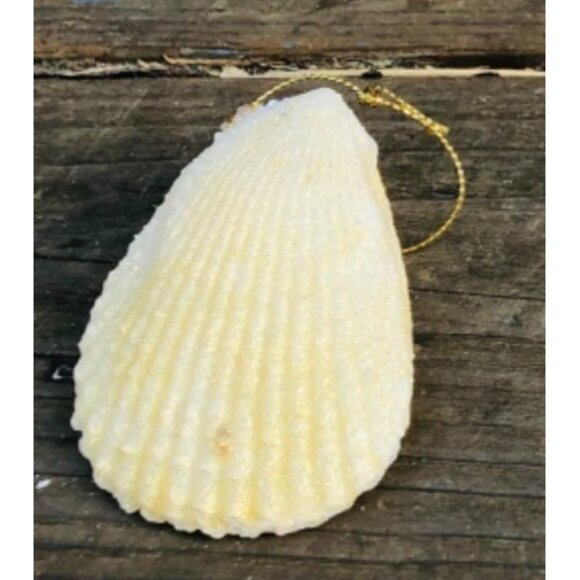 Lot of 5 Handmade Glittered Seashell Christmas Ornaments Angel Murex Clam Coasta - Picture 11 of 11